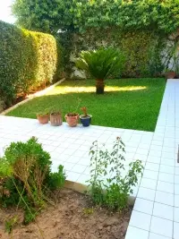 Duplex à la Marsa - 1