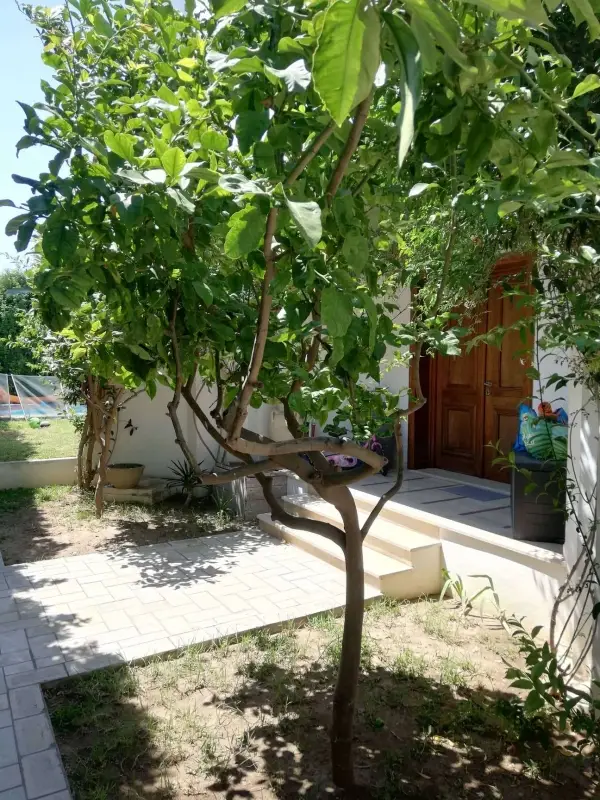 Villa avec piscine