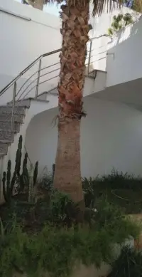 Appartement avec jardin - 10