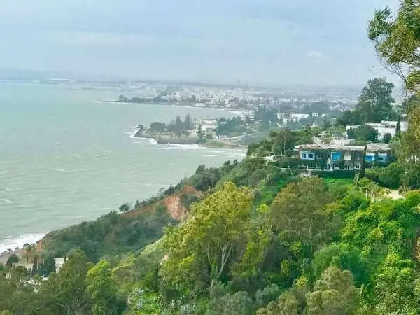 Magnifique villa à Sidi Bou Said