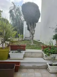 Magnifique villa à Gammarth - 8
