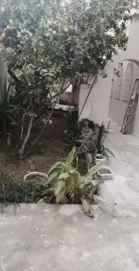 Appartement AU RDC à Sidi Daoud - 2