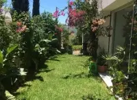 Magnifique villa à la Marsa - 2