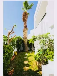Villa S+3 meublée à la Marsa - 11