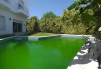 Magnifique villa à Gammarth - 15