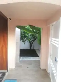 S 3 RDC avec jardin - 8