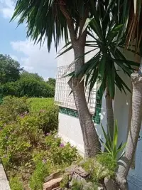 Villa avec jardin à Gammarth - 11