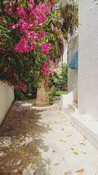 Villa S 3 à Gammarth - 10