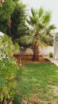 Villa S 3 à Gammarth - 5