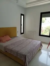 magnifique duplex à la marsa - 4