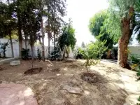 villa s+5 à Gammarth - 7