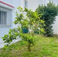 Villa S3 à vendre à La Soukra - 8