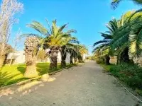 Immeuble de 9200 m² à vendre à Charguia - 4