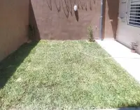 Un immeuble R+2 à vendre à La Soukra - 7