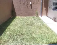 Un Rez-de-chaussée Neuf S+3 avec jardin à La Soukra - 4