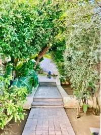 Villa S+4 avec piscine à Gammarth supérieur - 2