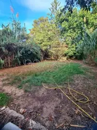 Magnifique Duplex s+3 à la Marsa - 3