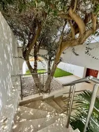 Magnifique rez de jardin S+2 à louer - 1