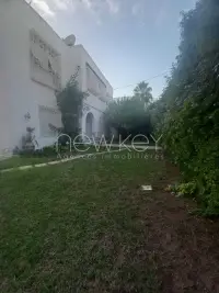 villa s+4 à la Marsa - 13