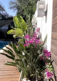Magnifique rez-de-chaussée S+3 meublé - 22