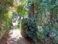 Magnifique villa à la Marsa - 14