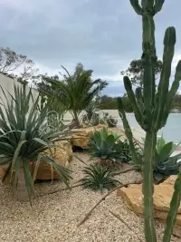 Magnifique villa neuve à Gammarth - 14