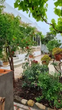 Villa plein pied à la Marsa - 4