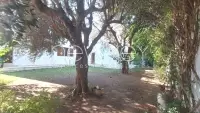 Une belle villa s+6 à la Marsa - 2