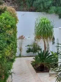 Villa s+5 à Gammarth vue sur mer - 15