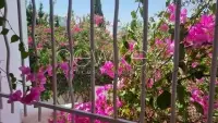 Villa s+3 à Gammarth - 10