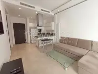 Appartement S1 meublé à louer aux Berges du Lac 2 - 2