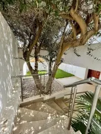 Magnifique rez de jardin S+2 à louer - 1