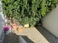 Triplex s+5 à la Marsa - 7