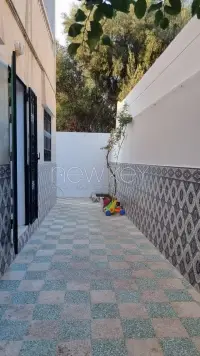 S+2 à la Marsa - 10