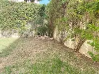Appartement S3 avec jardin aux berges du lac 2 - 3
