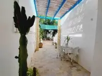 Duplex s+2 à la Marsa - 12