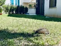 Appartement S4 avec jardin à louer aux Berges du Lac 2 - 12
