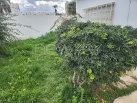 Joli duplex s+3 à La Marsa - 1