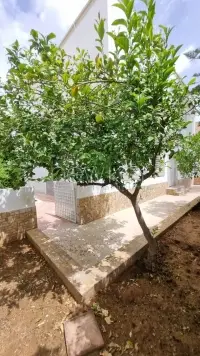 villa s+5 avec studio à la Marsa - 20