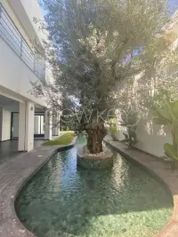 Magnifique villa moderne à la Marsa - 3