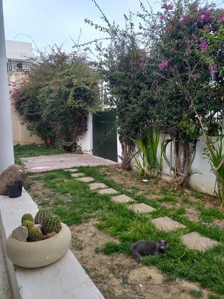Villa plain pied à la Marsa