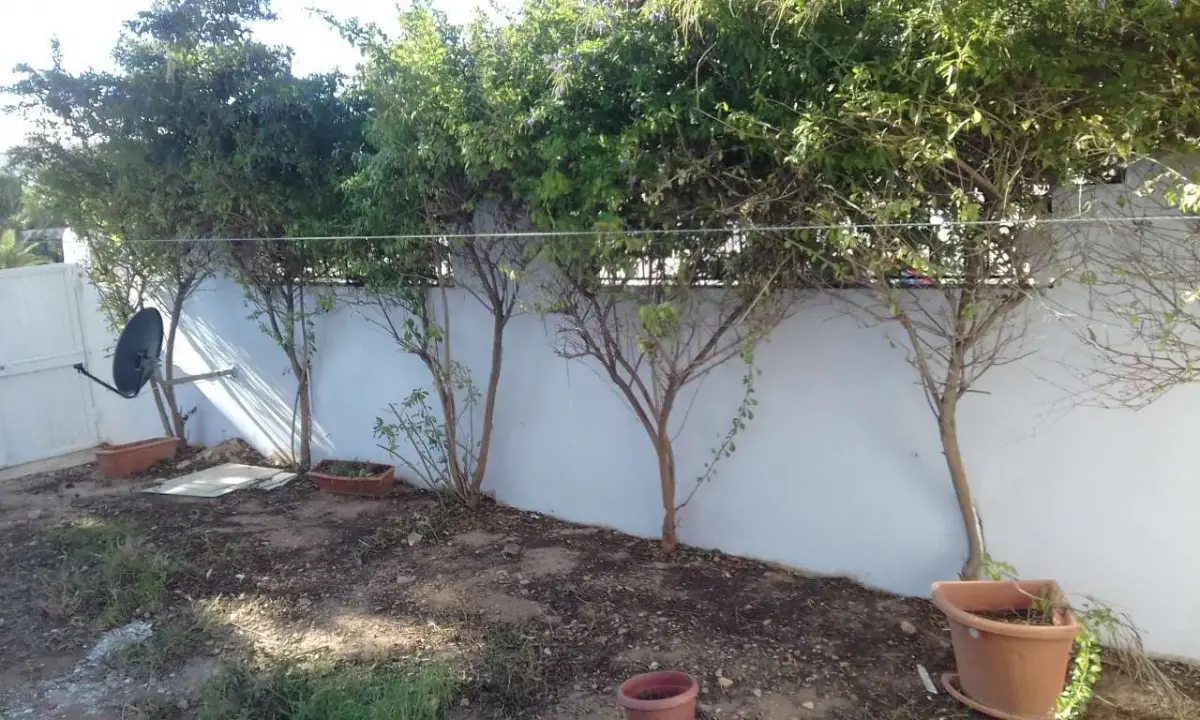Appartement S 3 RDC avec jardin
