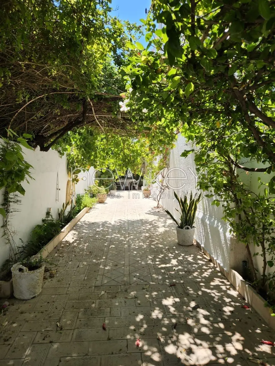 Un coquet S+1 meublé à Carthage