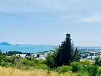 Magnifique Terrain de 3000 m² à Sidi Bou Said - 3