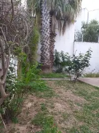 Villa plain pied à la Marsa - 2