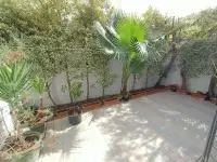 Duplex s 3 à la Marsa - 1
