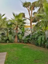 Une Splendide Villa à Louer à La Soukra - 5
