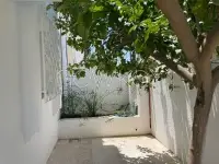 Duplex s+4 à la Marsa - 5