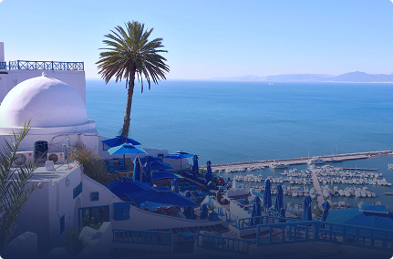 Sidi bou said