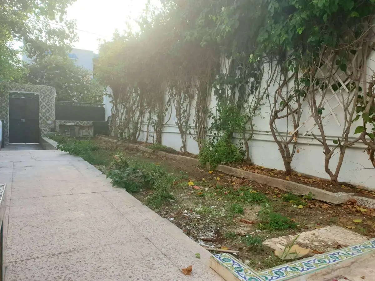 img-property